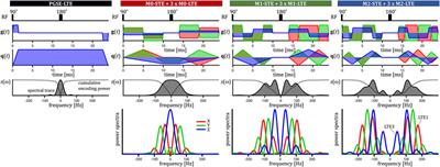 Stay on the Beat With Tensor-Valued Encoding: Time-Dependent Diffusion and Cell Size Estimation in ex vivo Heart